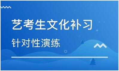 参加文化课集训的是不是都是艺术考生